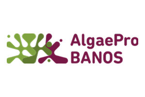APB logo