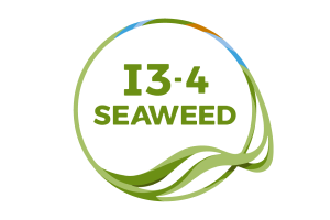 I3-4-SEAWEED
